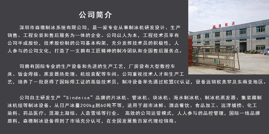鹽水塊冰機(jī)生產(chǎn)廠家 全自動(dòng)大型10噸冰塊機(jī)冰磚機(jī) 工業(yè)制冰機(jī)