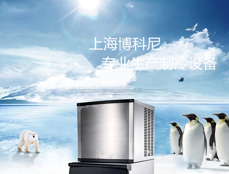 上海博科尼生產(chǎn)BKN-500B商用制冰機(jī)全國(guó)聯(lián)保制冰機(jī)奶茶店專(zhuān)用