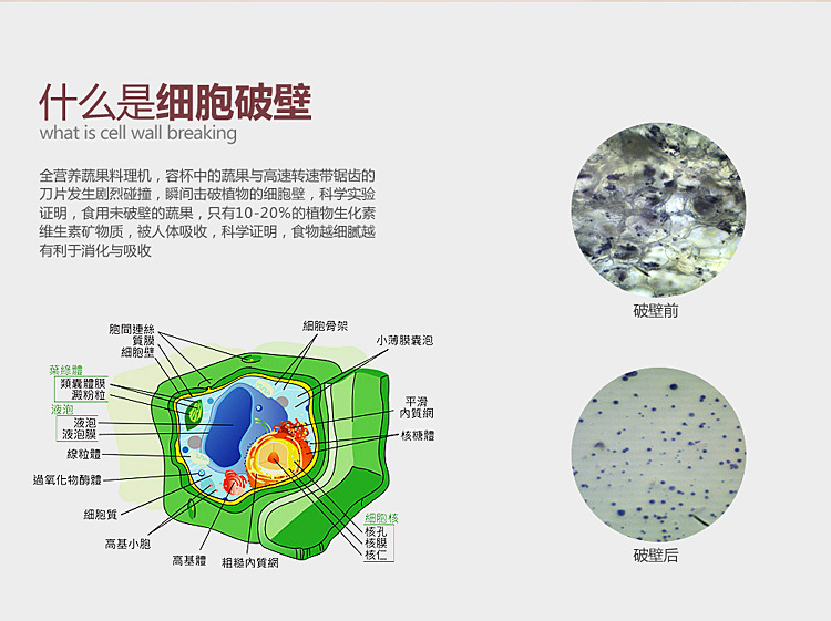 奶茶店商用沙冰機家用冰沙機刨冰碎冰機榨汁攪拌機奶昔現(xiàn)磨豆?jié){機