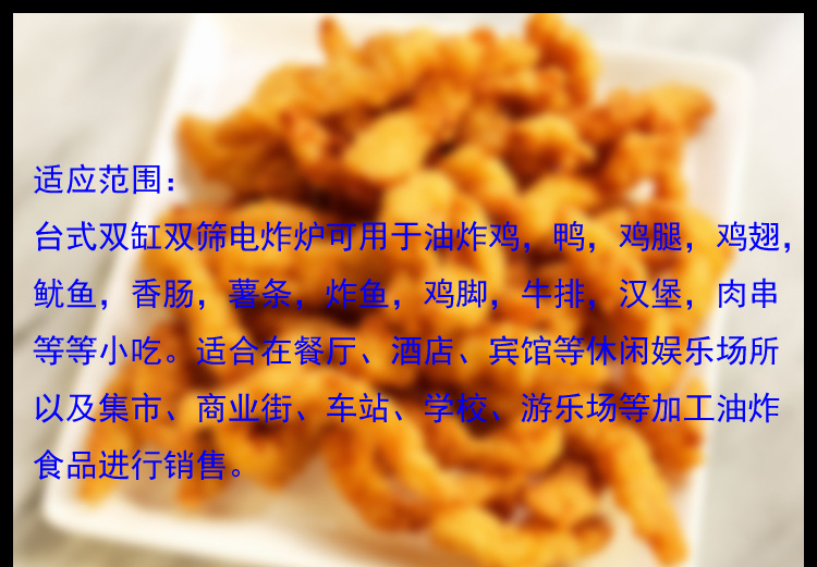 油炸設(shè)備燃?xì)庹t 大容量商用立式控溫油炸鍋 煤氣炸雞排油炸機(jī)