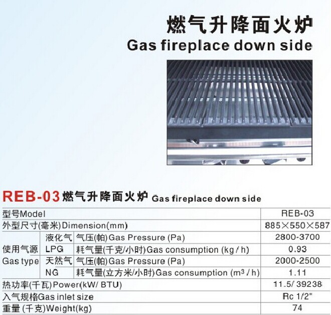REB-03燃?xì)馍得婊馉t0005