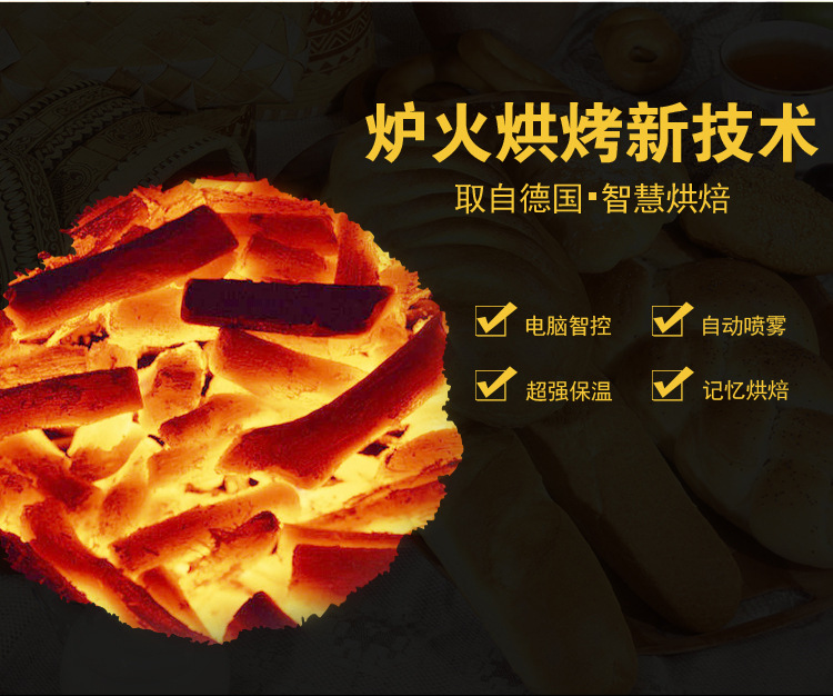 噴霧蒸汽商用 石板烤箱 德國標(biāo)準(zhǔn) 專業(yè)烘焙披薩面包歐包電烤爐