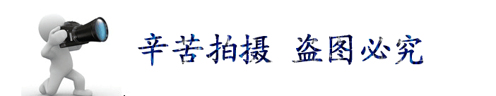 WT1114集成衛(wèi)生間賓館酒店整體淋浴房公寓一體式衛(wèi)浴廠家直銷