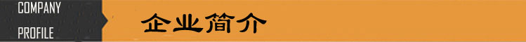 企業(yè)簡介抬頭