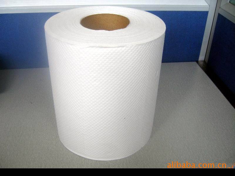 生活用紙衛(wèi)生紙卷紙廠家直銷衛(wèi)生卷紙