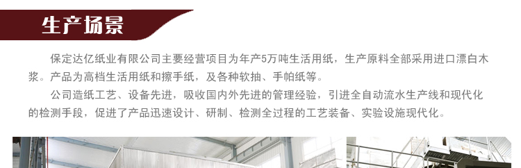衛(wèi)生紙廠(chǎng)家直銷(xiāo)百慧商務(wù)用紙洗手間大盤(pán)紙大卷紙小卷紙700克木漿