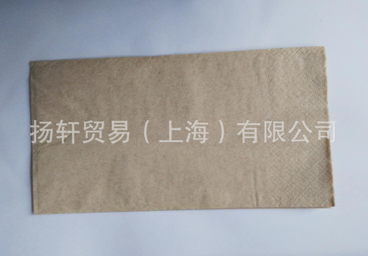 批發(fā)供應(yīng)一次性環(huán)保餐巾紙訂做 可印logo 酒店紙巾 西餐廳紙巾