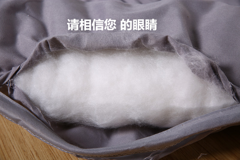 廠家直銷床墊批發(fā) 酒店賓館保護(hù)床墊床上用品床護(hù)墊舒適懶人褥子