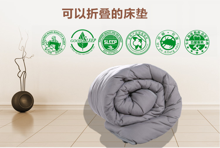 廠家直銷床墊批發(fā) 酒店賓館保護(hù)床墊床上用品床護(hù)墊舒適懶人褥子