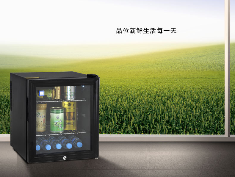 美伴家42升小冰箱迷你酒店家用帶鎖玻璃門(mén)小型客房冰箱食品冷藏箱