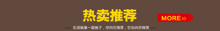 廠(chǎng)家銷(xiāo)售 酒店優(yōu)質(zhì)浴室鏡 方形掛墻式浴室鏡 不銹鋼掛鏡