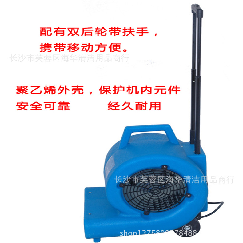 湘潤直流鼓風(fēng)吹干機 地面吹風(fēng)吹干機 酒店大堂工廠地面強力吹風(fēng)機