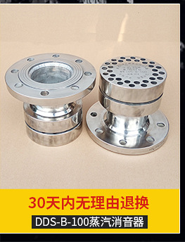 潛水式蒸汽釋放加熱消聲器DDS-A-50 無(wú)噪音蒸汽釋放消音器