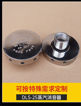 潛水式蒸汽釋放加熱消聲器DDS-A-50 無(wú)噪音蒸汽釋放消音器