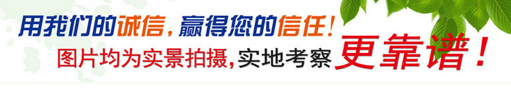 實(shí)力廠家直銷電加熱可傾高壓煮肉鍋 商用大型鹵制鍋