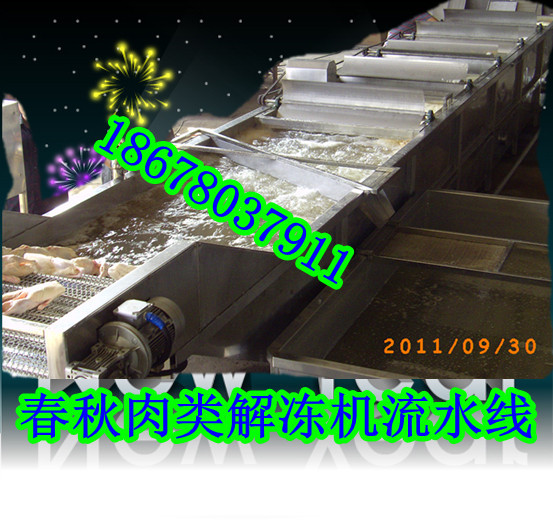 雞鴨魚肉解凍機(jī)|全自動(dòng)恒溫變頻解凍機(jī)|凍品解凍池|快速環(huán)保解凍