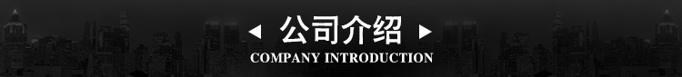 臥室家具實(shí)木衣柜 整體組合四門大儲物衣櫥 組裝白色歐式衣柜特價