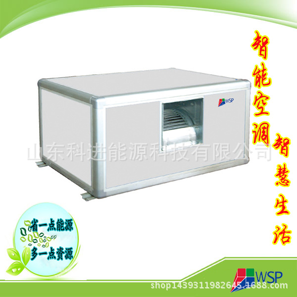 商用中央空調(diào) 專業(yè)風(fēng)柜 風(fēng)管機(jī)空調(diào) 風(fēng)冷型恒溫恒濕潔