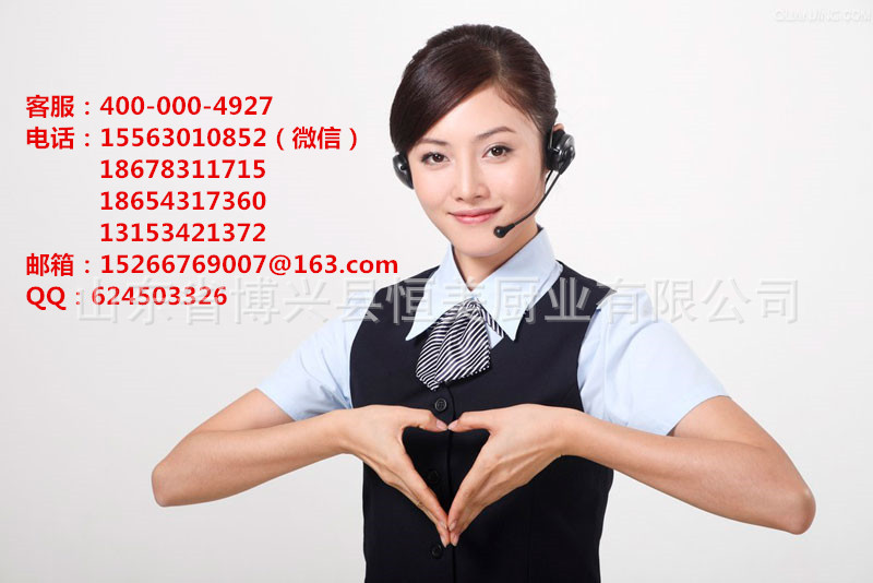 恒美 批發(fā) 廠家直銷 一件代發(fā) 油煙分離器 油煙凈化器 油煙凈化機(jī)