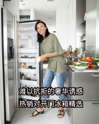 難以抗拒的奢華誘惑熱銷(xiāo)對(duì)開(kāi)門(mén)冰箱精選