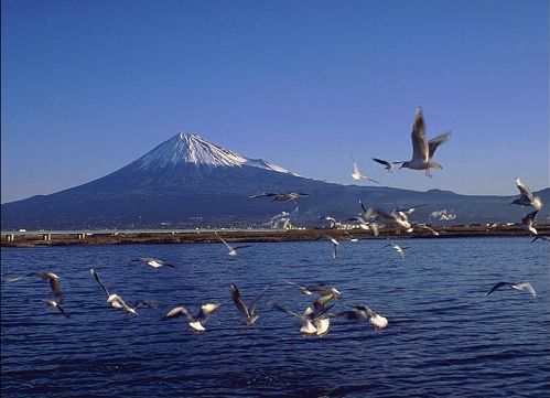 韓國(guó)濟(jì)州島美景