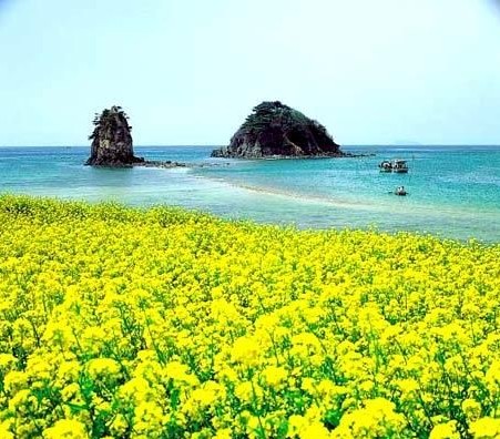 韓國(guó)濟(jì)州島美景