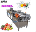 凈菜生產(chǎn)設備 新鮮果蔬加工全套設備 果蔬清洗機 新型渦流洗菜機